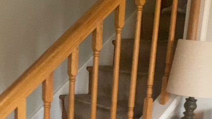 Fun-loving aunt and toddler have a gigglingly fun time while riding down stairs