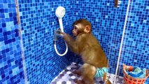 Monkey Baby Bon Bon Bathing in The Bathroom With Eating For Funny Animals Video Chhotu Awasthi