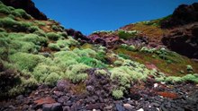 MORNINGTON PENINSULA NATIONAL PARK _ CAPE SCHANCK BROADWALK _ AUSTRALIA