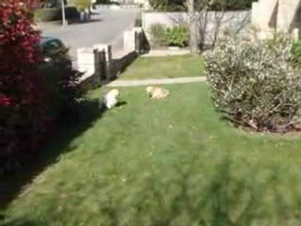 MOV02119