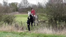 Police launch investigation after footage emerges showing saboteur being trampled to ground by horse during hunt