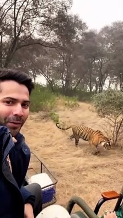 bollywood actor varun dhawan in wildlife..