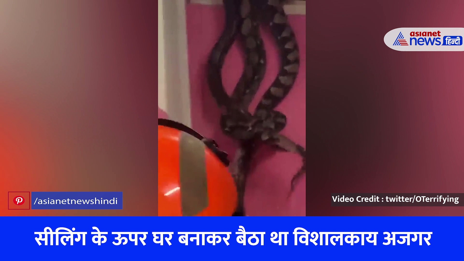 Shocking Video : घर की सीलिंग से आ रही थी अजीब आवाजें, फिर सामने आई ये खौफनाक सच्चाई