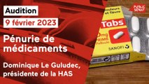 Pénurie de médicaments : audition de la Haute Autorité de Santé