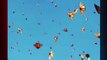 Amazing Butterflies flying in the sky #viral #foryou #shorts #short beautiful butterflies