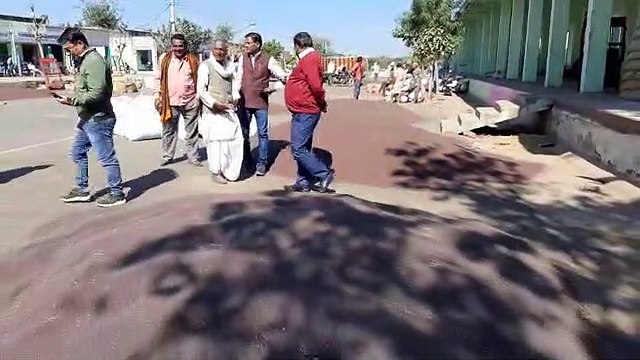 काले सोने की बम्पर आवक से गुलजार हो रही कृषि उपज मंडी