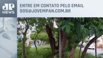 Jardim abandonado preocupa moradores da Zona Norte | SOS São Paulo