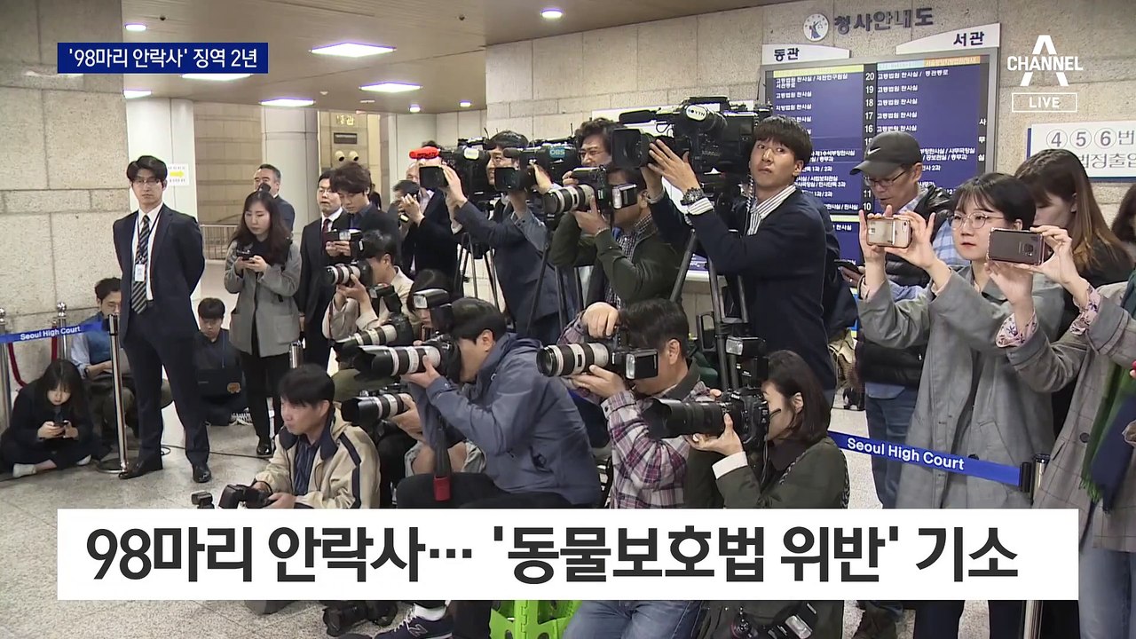 ‘구조 동물 98마리 안락사’ 박소연에 징역 2년 선고