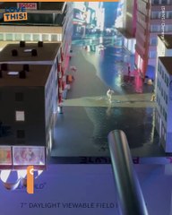 Living Large in Miniature: The Fascinating World of Tiny Things