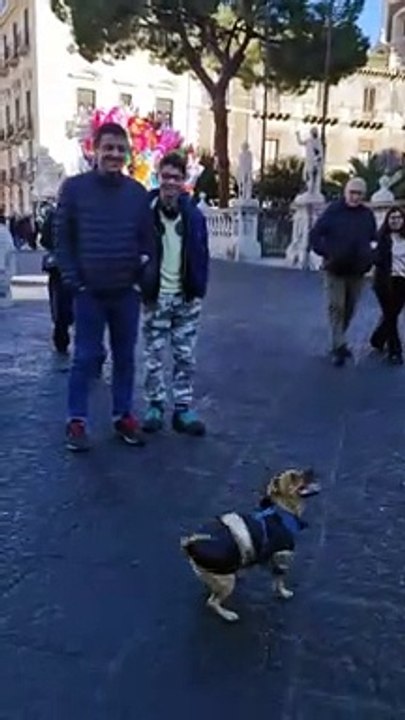 Bumping Around a Balloon