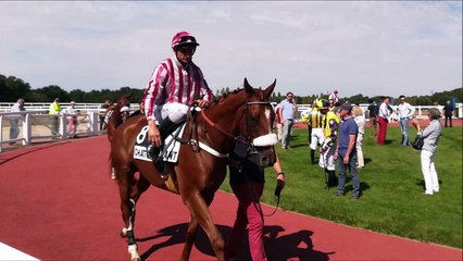 Pronostic gratuit pour le Quinté du mercredi 15 février 2023