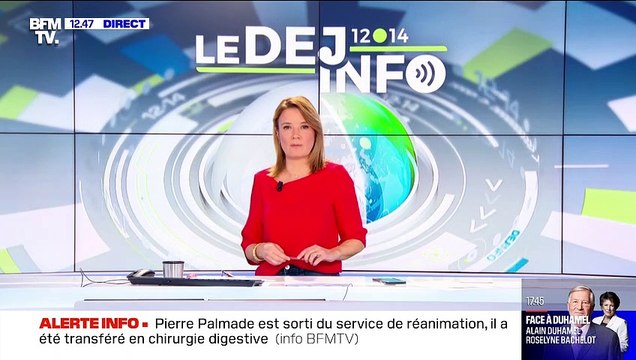 Pierre Palmade est sorti du service réanimation (BFM)