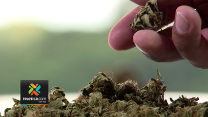 tn7-tn7-atencion-a-menores-de-edad-140123