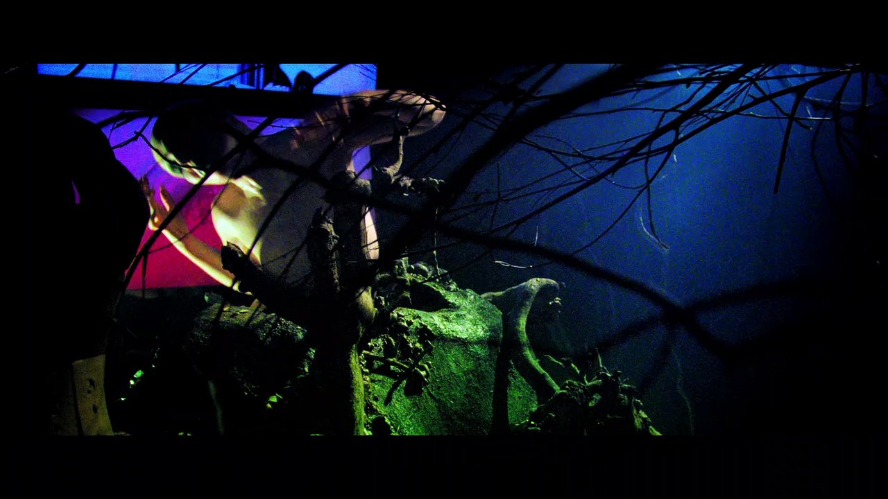 Moon Garden Trailer