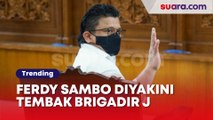 Ferdy Sambo Diyakini Tembak Brigadir J, Majelis Hakim Ungkap Alasannya