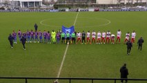 N2 (J18) Les buts Caennais lors de SMCaen 2-2 AS Beauvais