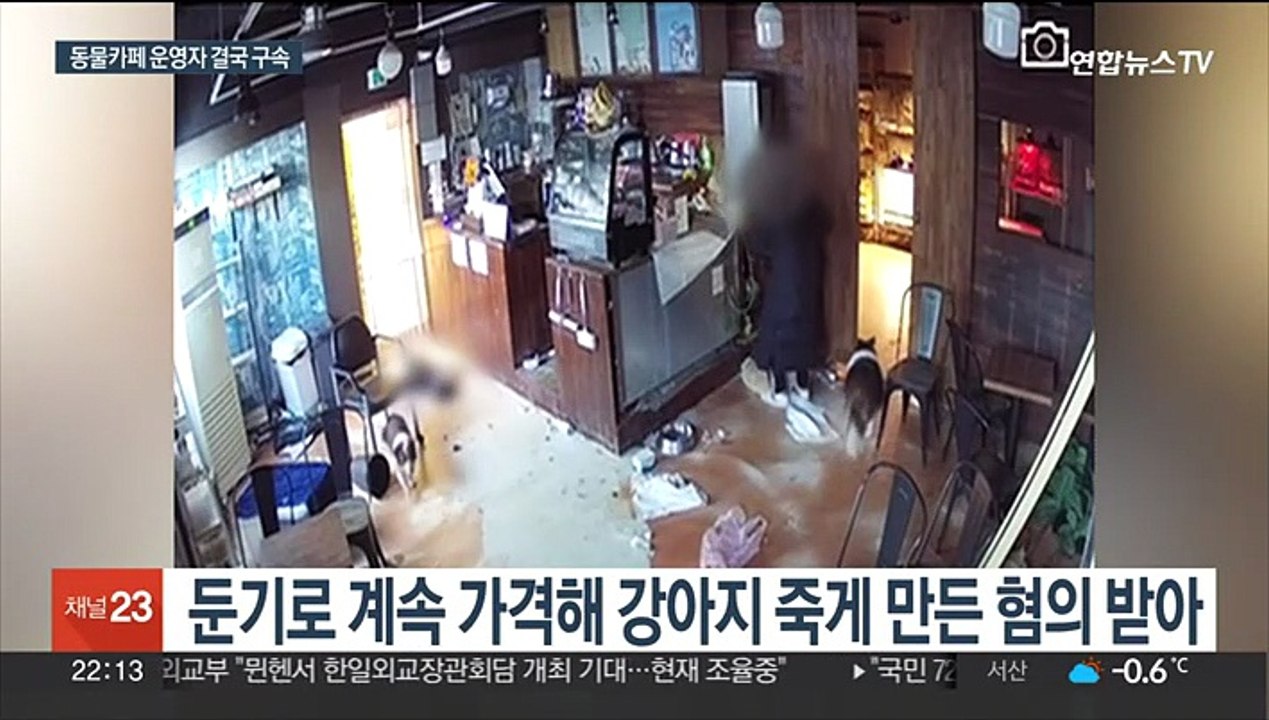 강아지를 둔기로 수십차례…동물카페 업주 구속