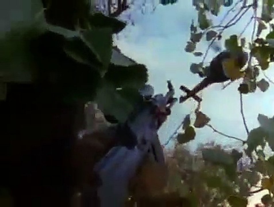 Tour of Duty - Se3 - Ep10 - World In Changes HD Watch