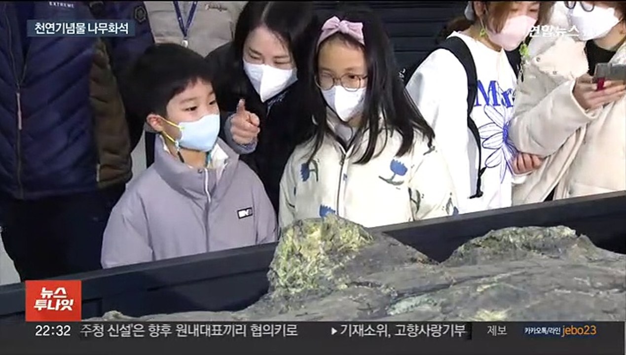 2천만 년 전 나무의 모습…가장 큰 나무화석 공개