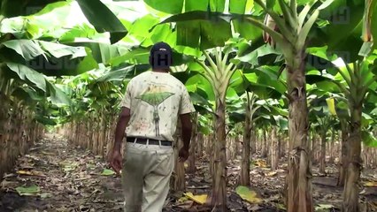 Inviable la sustitución de materias primas importadas, según expertos