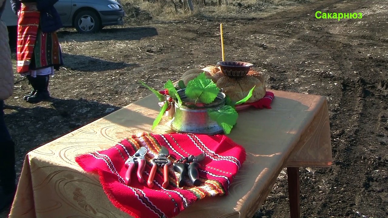 Цар на виното 2017
