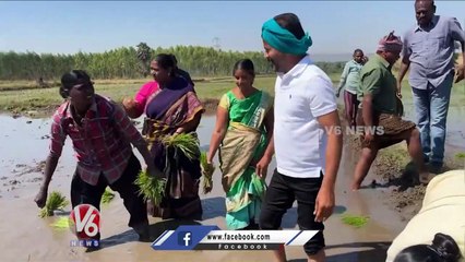 Revanth Reddy Plants Paddy Saplings Along With Farmers _ V6 News