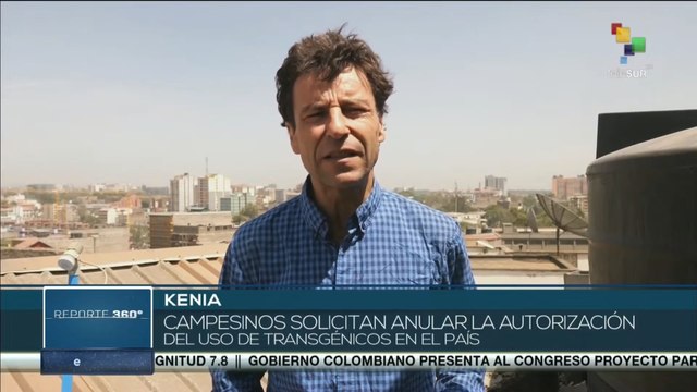 Kenia: Gobierno aplaza juicio contra semillas transgénicas en el país