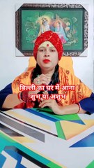 बिल्ली का घर में आना शुभ या अशुभ #shorts #viral