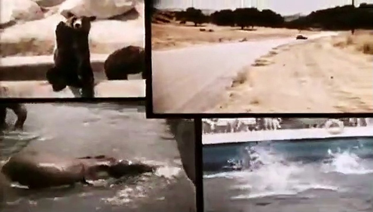 The Pink Panther Show - Ep133 HD Watch