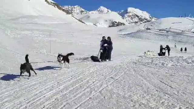 Les Mushers des Mélèzes