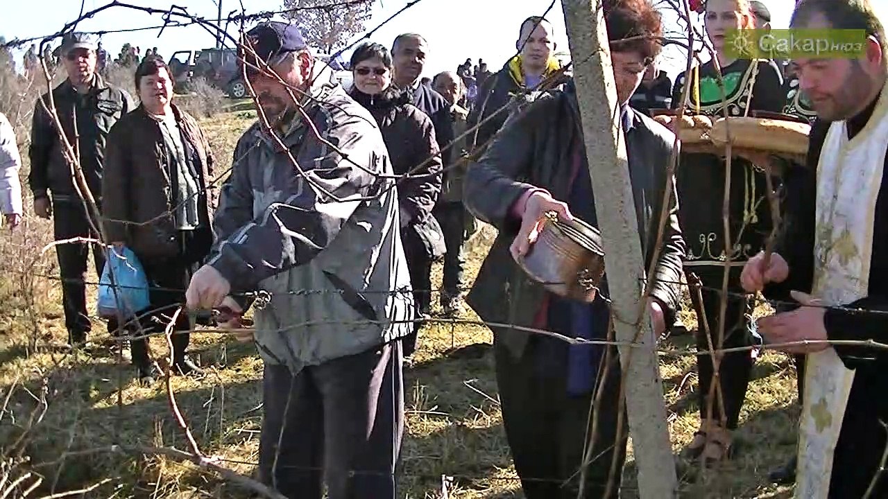 Трифоновден в Харманли, 2016 г