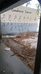 Escuela n° 491 "Naciones Unidas" - Denuncia III