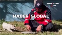 Deprem bölgesinde takdir toplayan hareket... Yemeğini kedi ile paylaştı