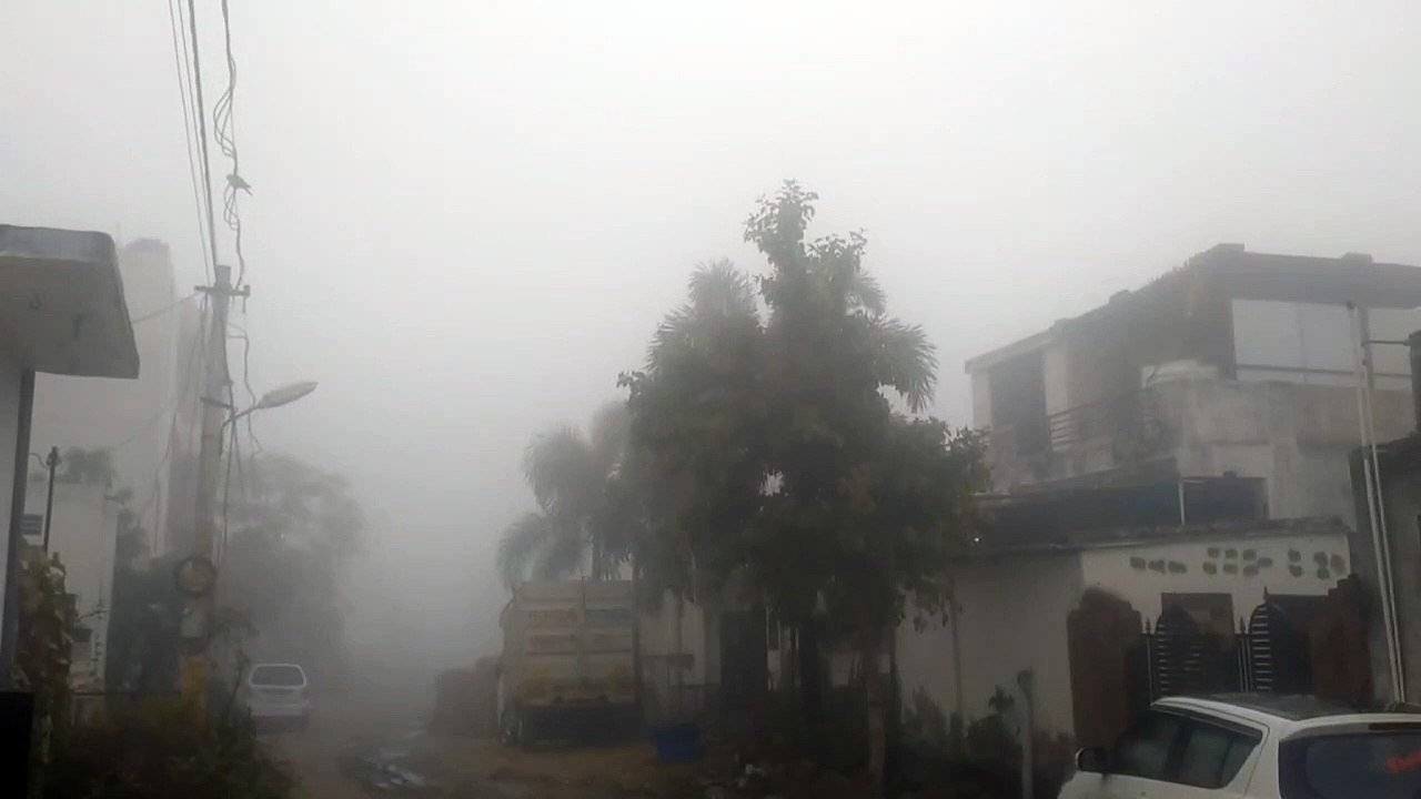 Weather News- सर्द हवाओं की रफ्तार थमी, तापमान...
