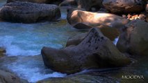 4K HDR Video - Daily Nature - Soothing Spirit Relaxation at Stone Valley River