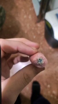 Una salchicha atornillada hallada en Sant Andreu de Palomar