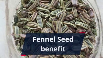 Fennel Seeds Benefit