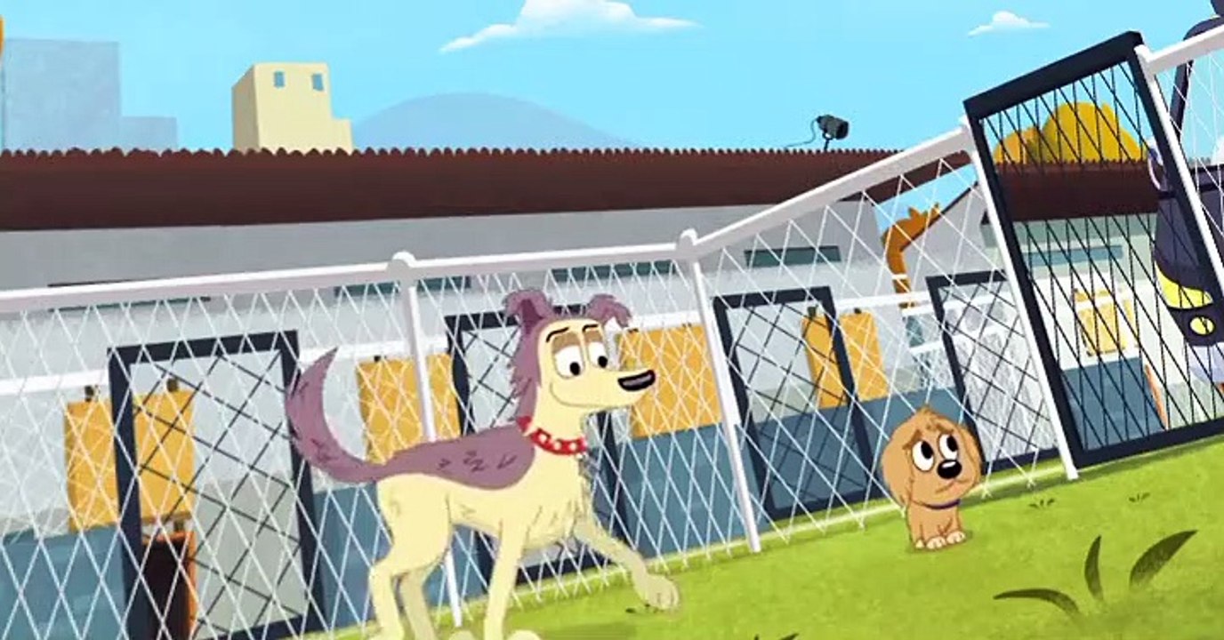 Pound Puppies 2010 Pound Puppies 2010 S01 E026 Lucky Gets Adopted