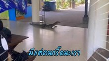 กรี๊ดกันลั่น ! เมื่อน้องบุกโรงอาหาร แบบไม่ได้รับเชิญ อื้อหือฮอตจริง ๆ นะเรา