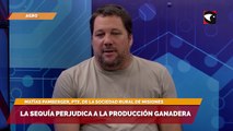 La sequía perjudica a la producción ganadera