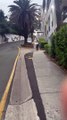 Man Carries Around Street Sign