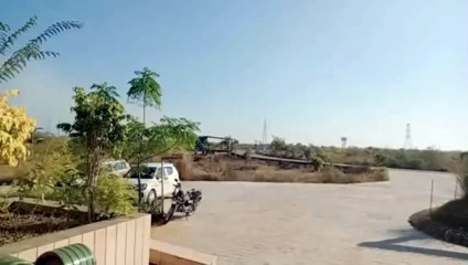 ABP Kota: नजरों से दूर, लेकिन शावक कर रहे खूब उछलकूद