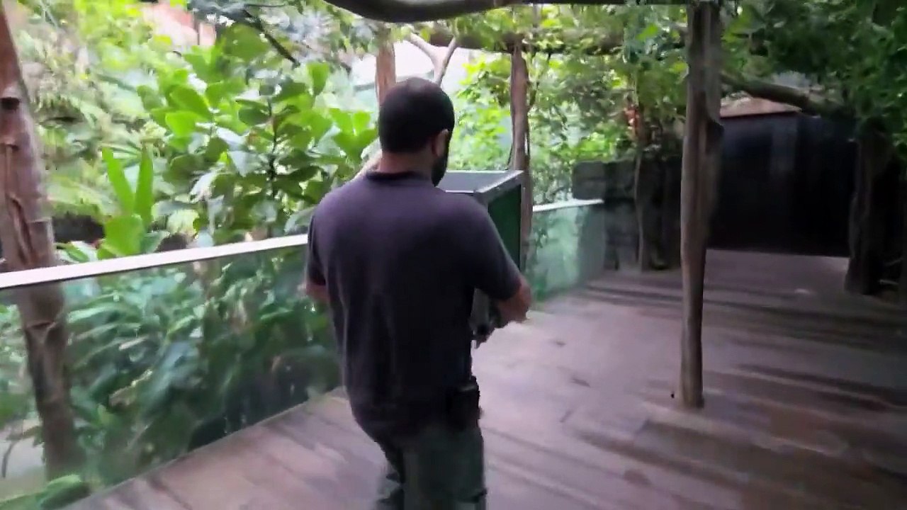 The Zoo - Se4 - Ep04 - Beloved Bugs HD Watch