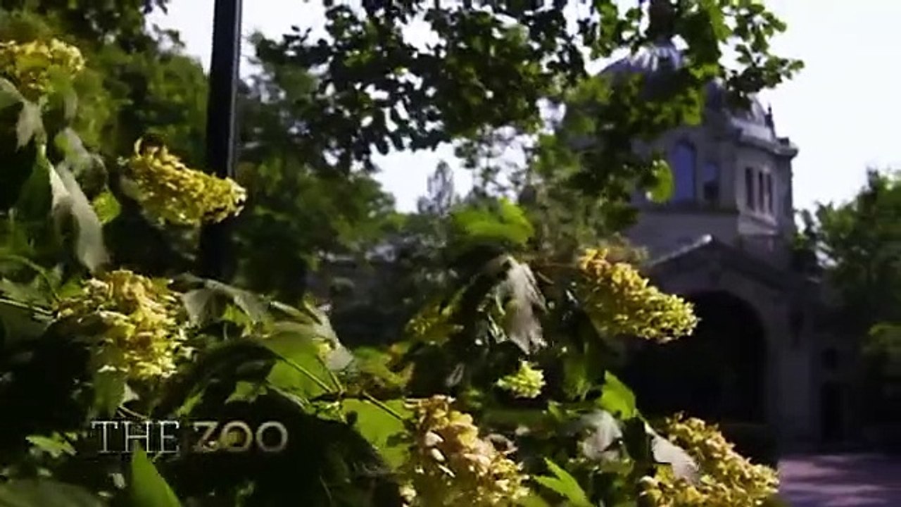 The Zoo - Se3 - Ep14 - Snow Monkey Social HD Watch