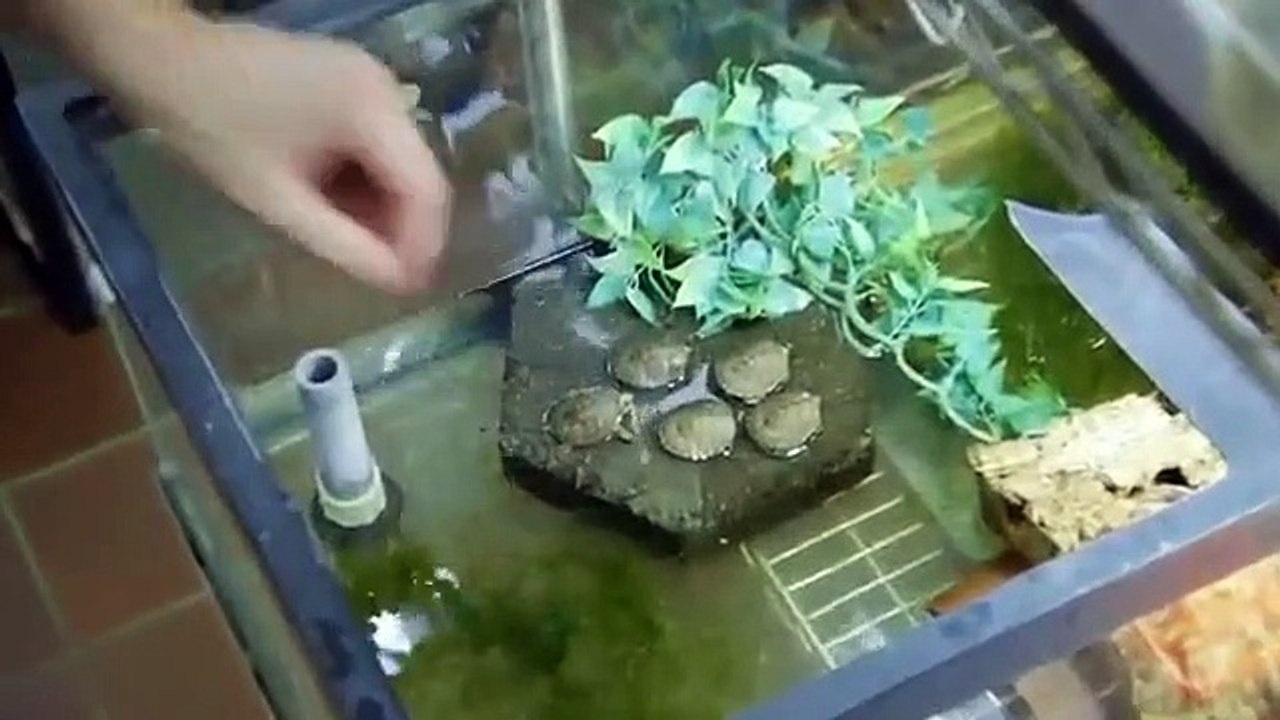 The Zoo - Se3 - Ep09 - Grumpy Cats New Digs HD Watch