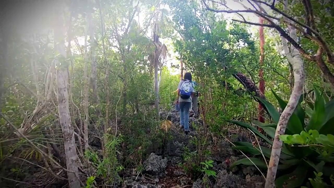 The Zoo - Se4 - Ep07 - Velcro the Incredible HD Watch