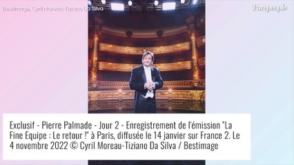 Pierre Palmade : "Le bébé serait né vivant", la femme de 27 ans a subi une césarienne avant de perdre son enfant