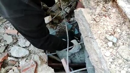 İzmir Büyükşehir Belediyesi Depremden Etkilenen Hayvanları Unutmadı