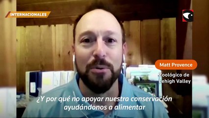 La interesante propuesta de los zoológicos de Estados Unidos para el día de los enamorados