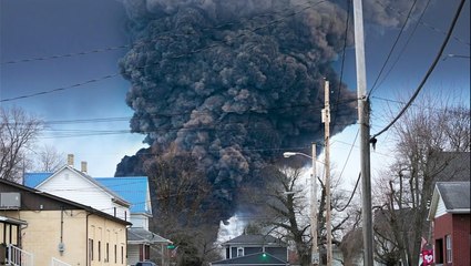 Why animals are dying after a train derailment in Ohio